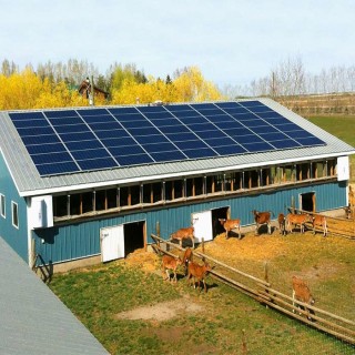 Automatic Farmland Ground Mounted Solar System For Greenhouse